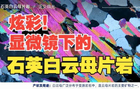 [图]惊艳！放大几十倍后的小破石竟然绚丽多彩！显微镜下的矿物之石英白云母片岩