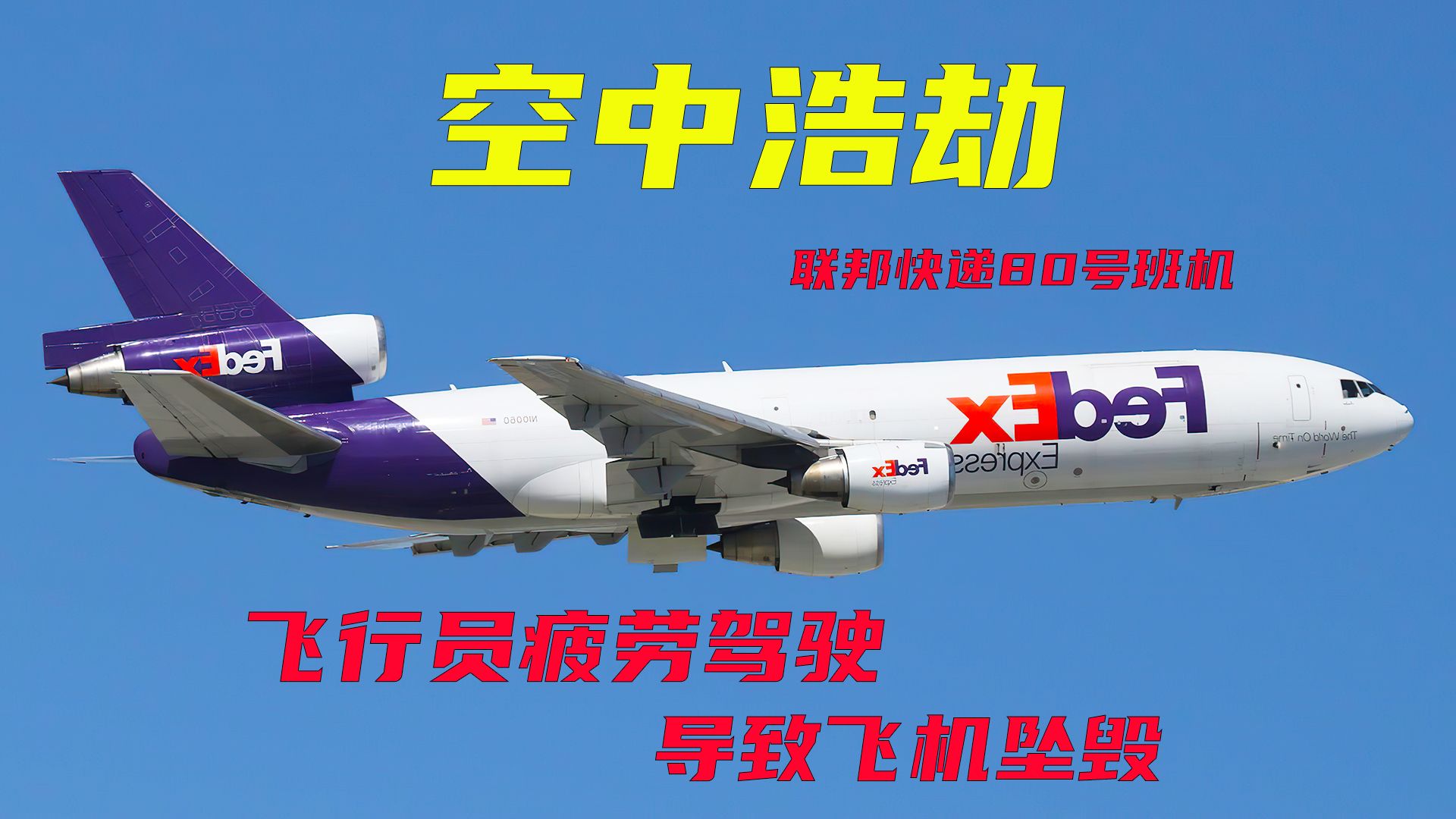 飞机降落时遭遇海豚跳坠毁,联邦快递80号班机事故