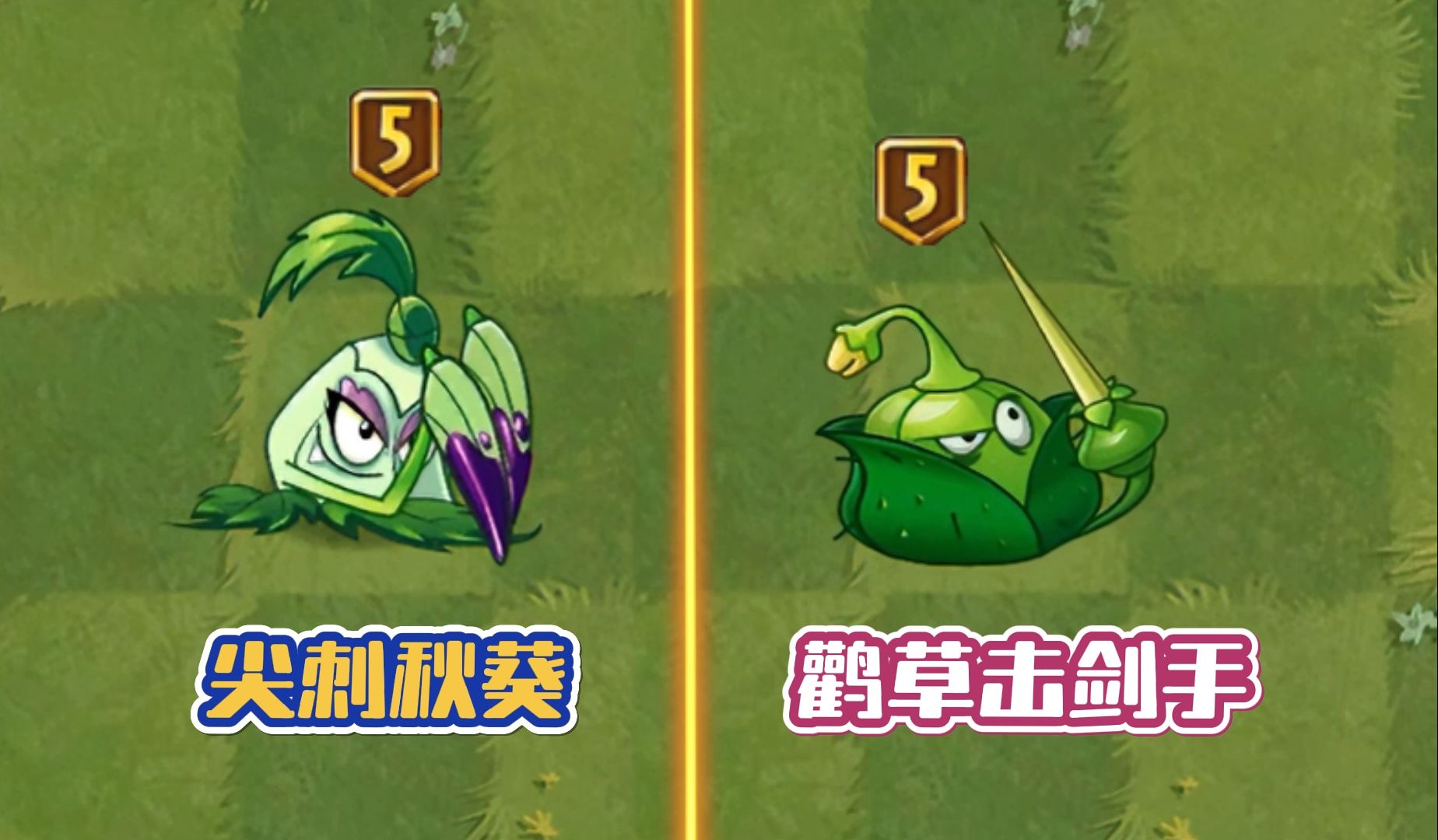 植物大战僵尸:5阶尖刺秋葵vs鹳草击剑手,谁更胜一筹?