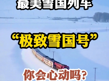 这个冬天总要来趟漠河吧,开往中国北极的最美雪国列车来了,它是豪华目的地全软卧特色专列,它就是从哈尔滨出发到达中国最北北极村的极致雪国号定制...