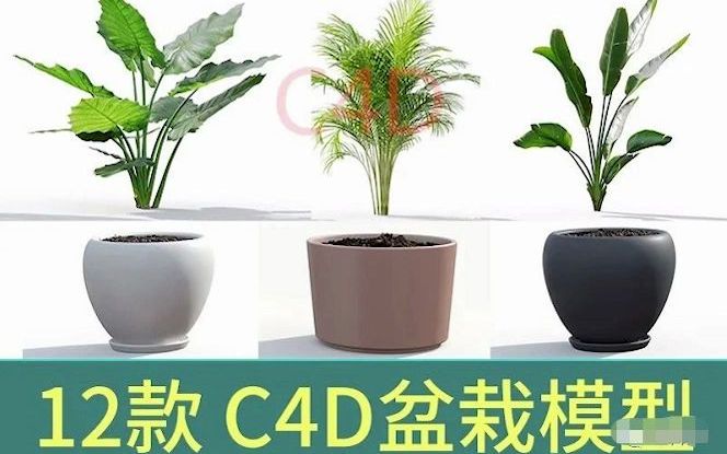 C4D植物盆栽模型工艺品场景3d花草艺术摆件装饰品模型哔哩哔哩bilibili