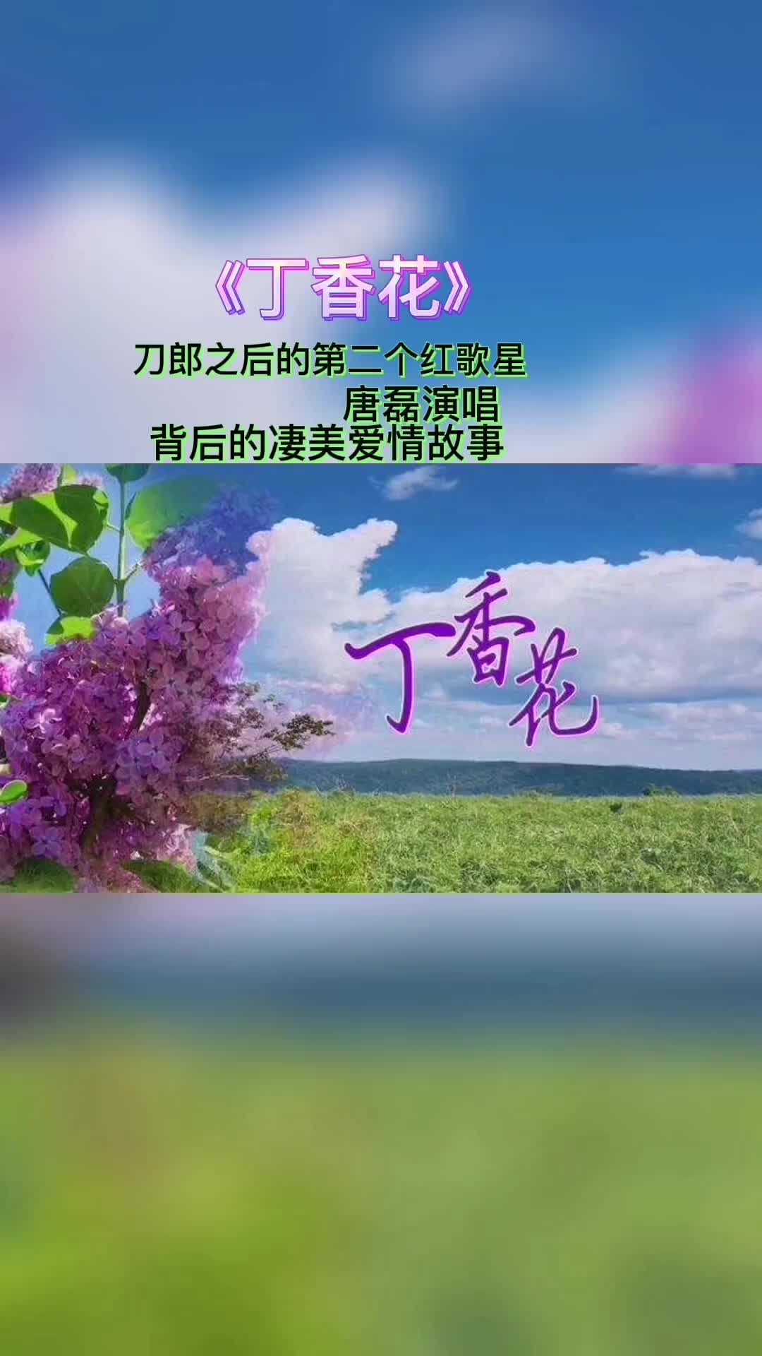 丁香花被称为鬼花在古代是很有寓意的对于含苞未放的丁香花经常被哔哩哔哩bilibili