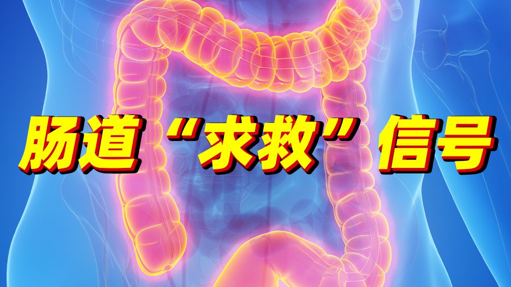 一个视频告诉你如何远离肠癌！这些症状，是肠道的“求救”信号