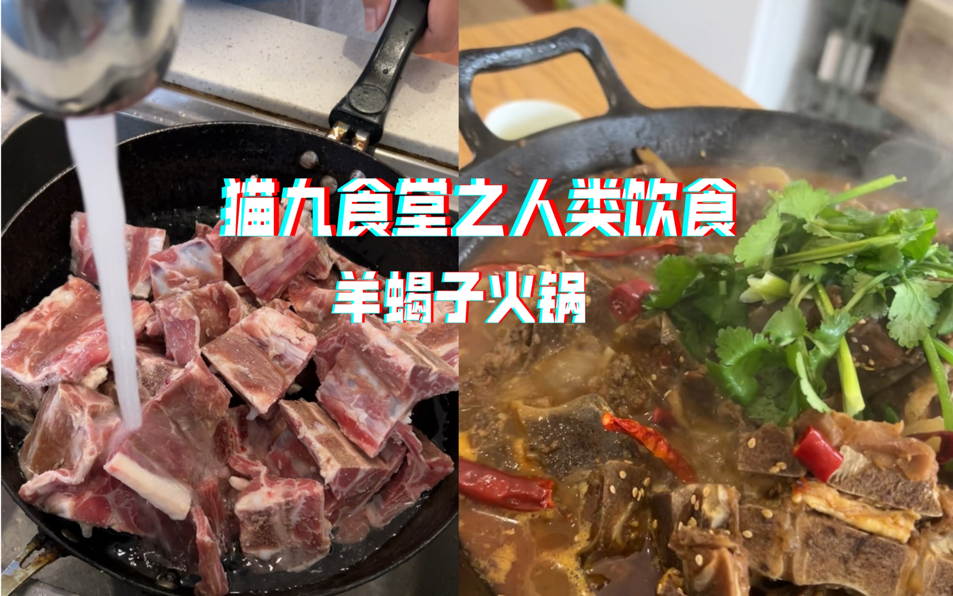 食堂之人类饮食|有手就会的羊蝎子火锅|留学生做饭糊弄学必备硬菜哔哩哔哩bilibili