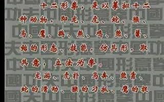 [图]30集《中国形意拳~山西卷》十二形之 虎形 09