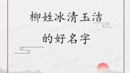 柳姓冰清玉洁的好名字~哔哩哔哩bilibili