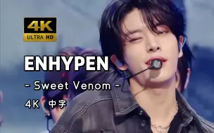 下载视频: 【4K 中字】小调一响 Kpop唯一的吸血鬼大人们闪亮登场 ENHYPEN - Sweet Venom 231201 KBS Music Bank 打歌舞台