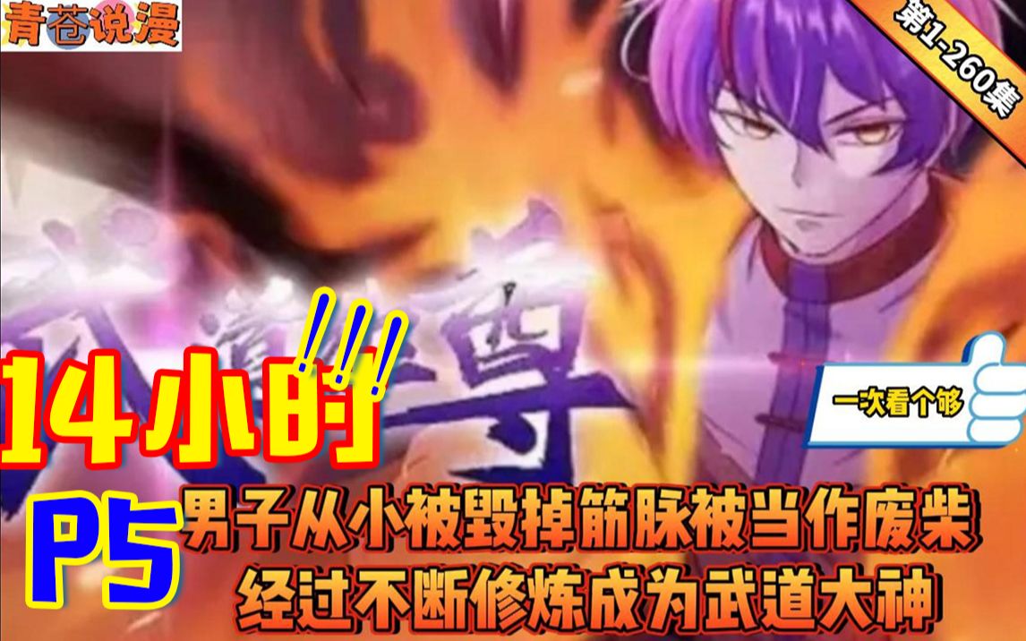 !!【14小时】《武道独尊》第1260话神王附身废柴,从此开启武道巅峰之路!哔哩哔哩bilibili