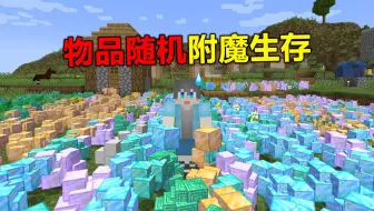 当MC里的物品都会随机附魔，万物皆附魔？！