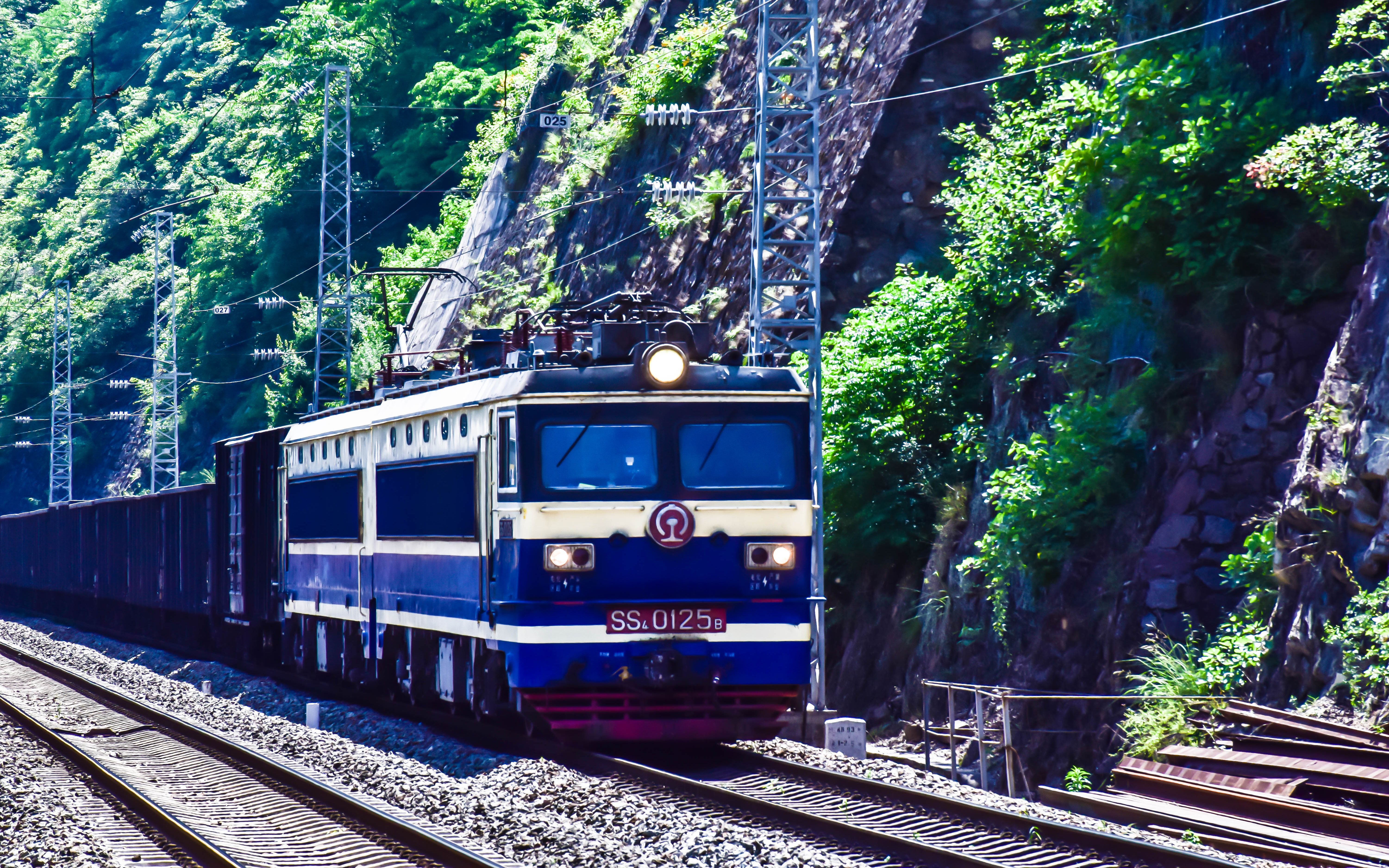 『铁路』火车视频:2019-陇海·初夏