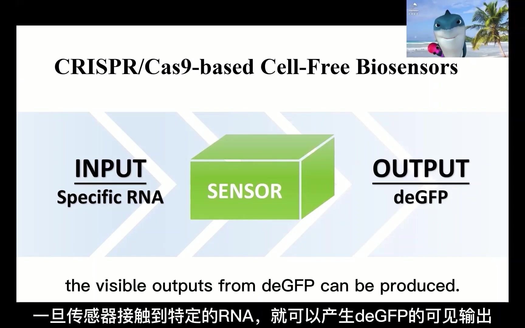 浙江工业大学ZJUTiGEM团队项目详细讲解视频:基于CRISPR/Cas9技术的无细胞RNA生物传感器哔哩哔哩bilibili