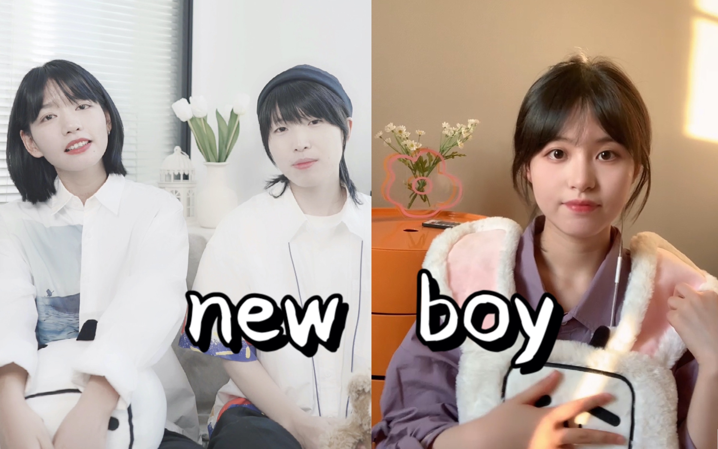 《New Boy》船新合唱版本哔哩哔哩bilibili