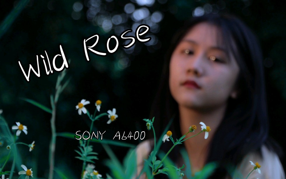 [图]◣约拍练习◥ Wild Rose ：) 你们要的小姐姐！