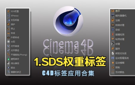 C4D标签1.SDS权重标签哔哩哔哩bilibili