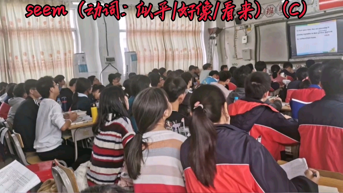 seem(动词:似乎/好像/看来)(C)哔哩哔哩bilibili