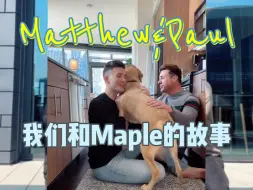 Скачать видео: 【Matthew & Paul】🌈关于导盲犬Maple如何改变了我们生活的故事❤️‍🩹