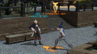 Download Video: 【FF14】吓到猫了！！