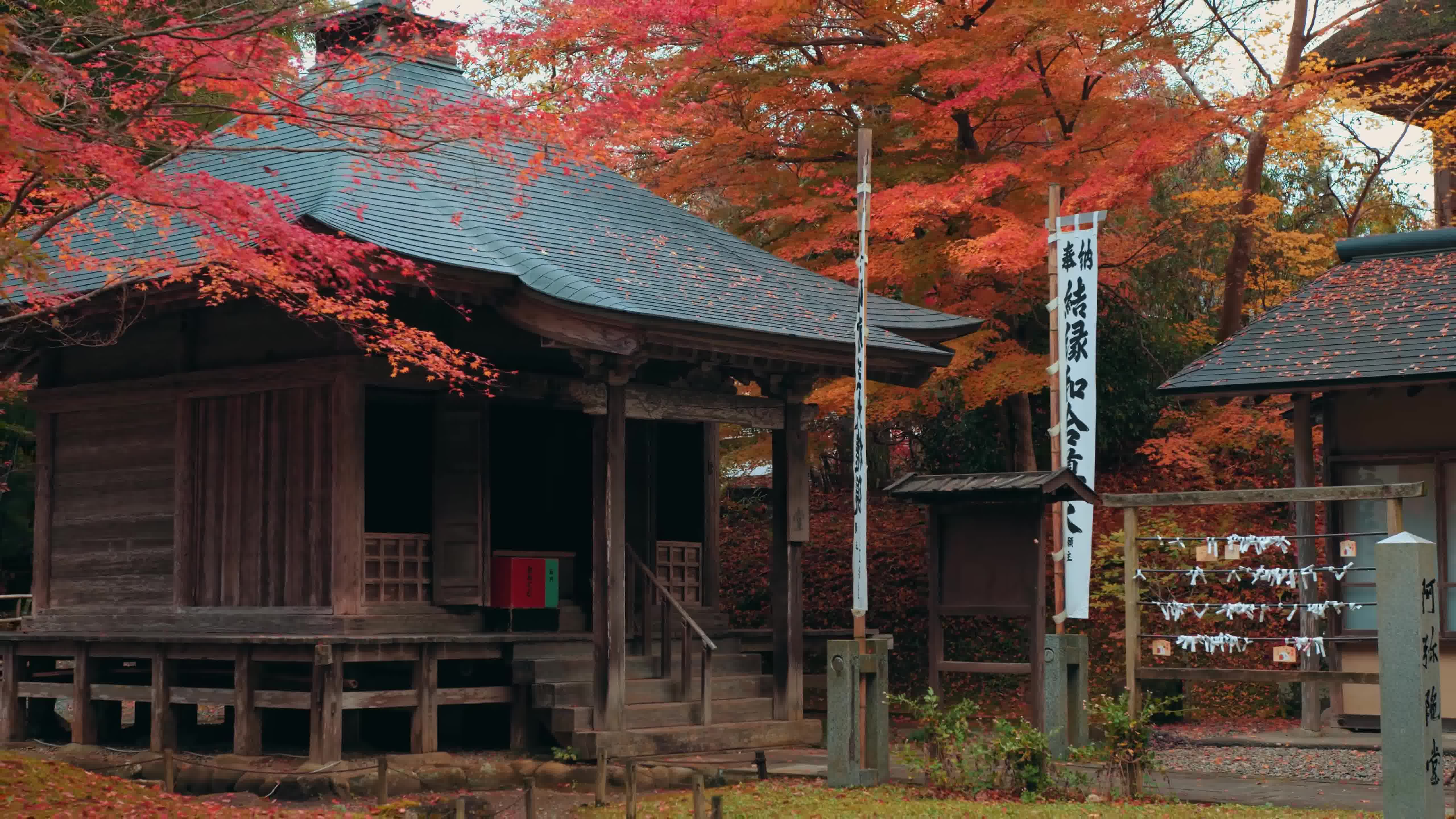 中山寺秋叶(日本岩手县)