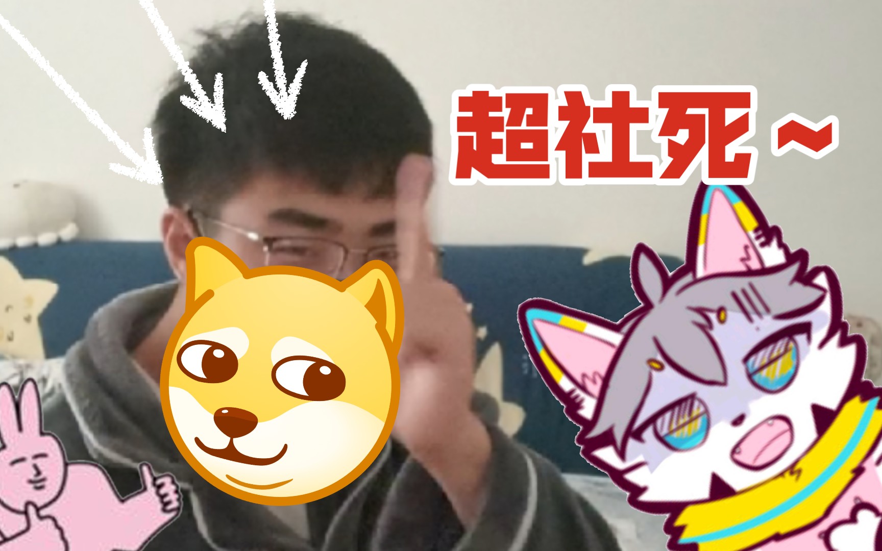 [图]震惊！某furry圈up因声音可爱被迫露脸？！［b站评论整活］