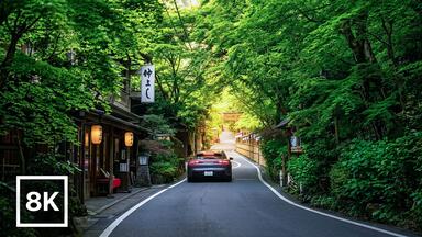 京都絶景＃4「京の四季」_哔哩哔哩_bilibili