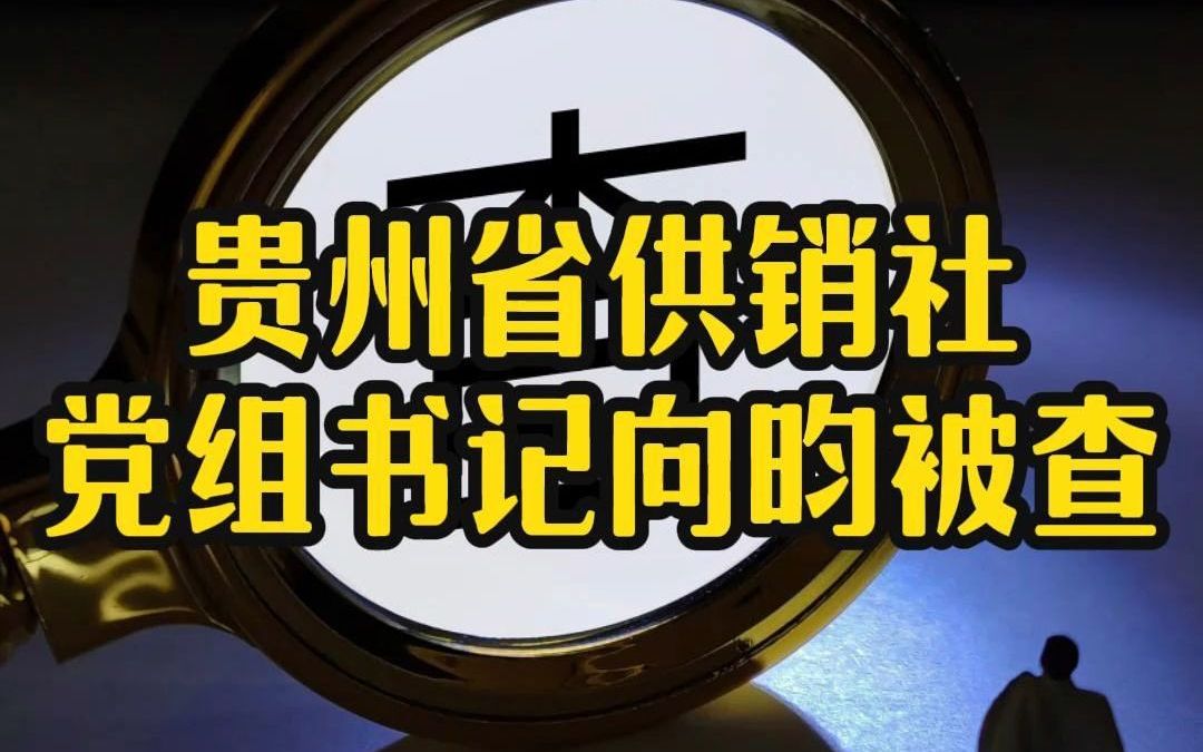 贵州省供销社党组书记向昀被查哔哩哔哩bilibili