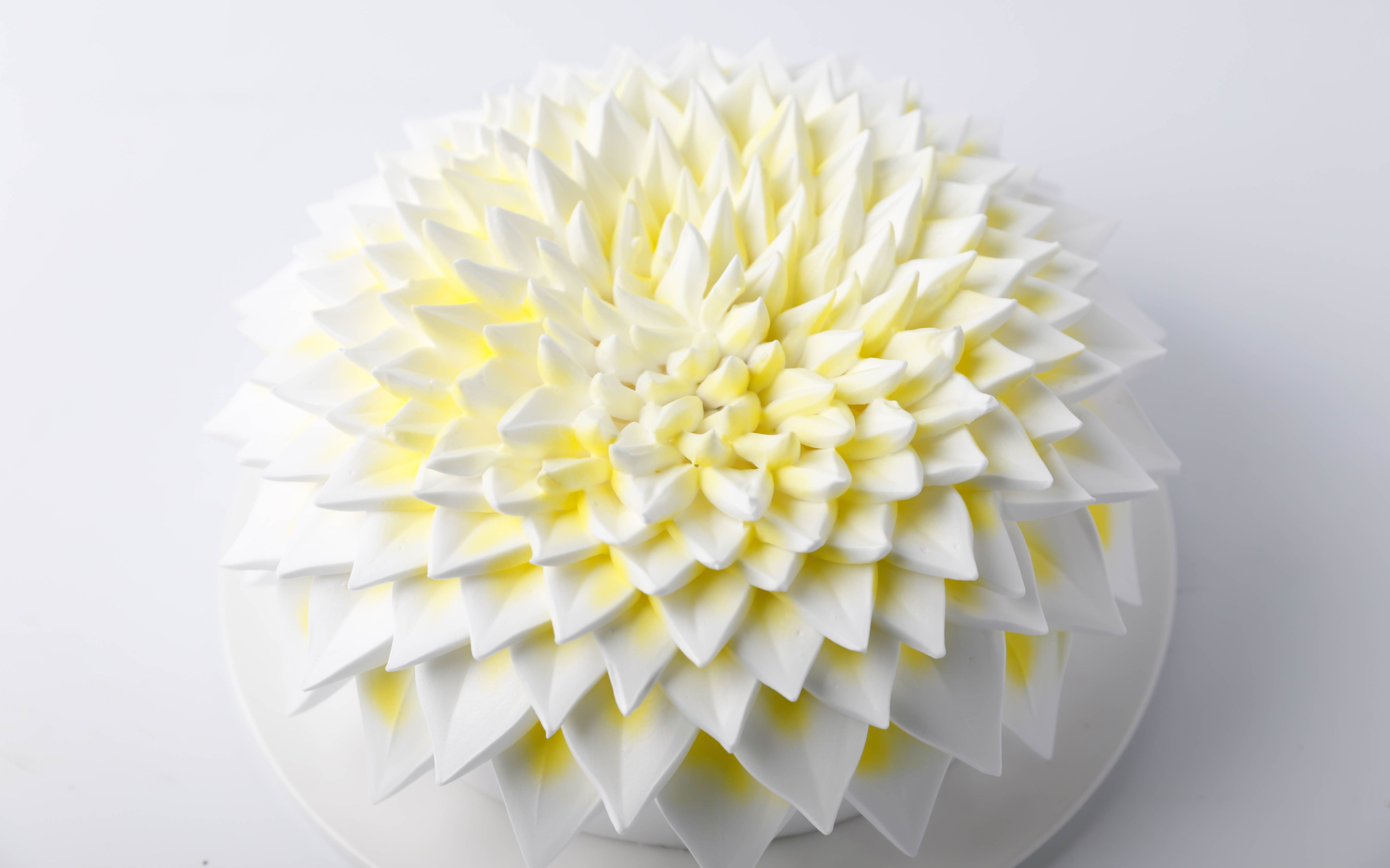 王森咖啡西点学校 在线直播学习陶艺蛋糕 大格领课程预告 可关注微信