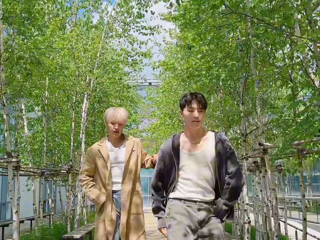 240513 seventeen 权顺荣hoshi 李灿dino 因为天气好9100 零站