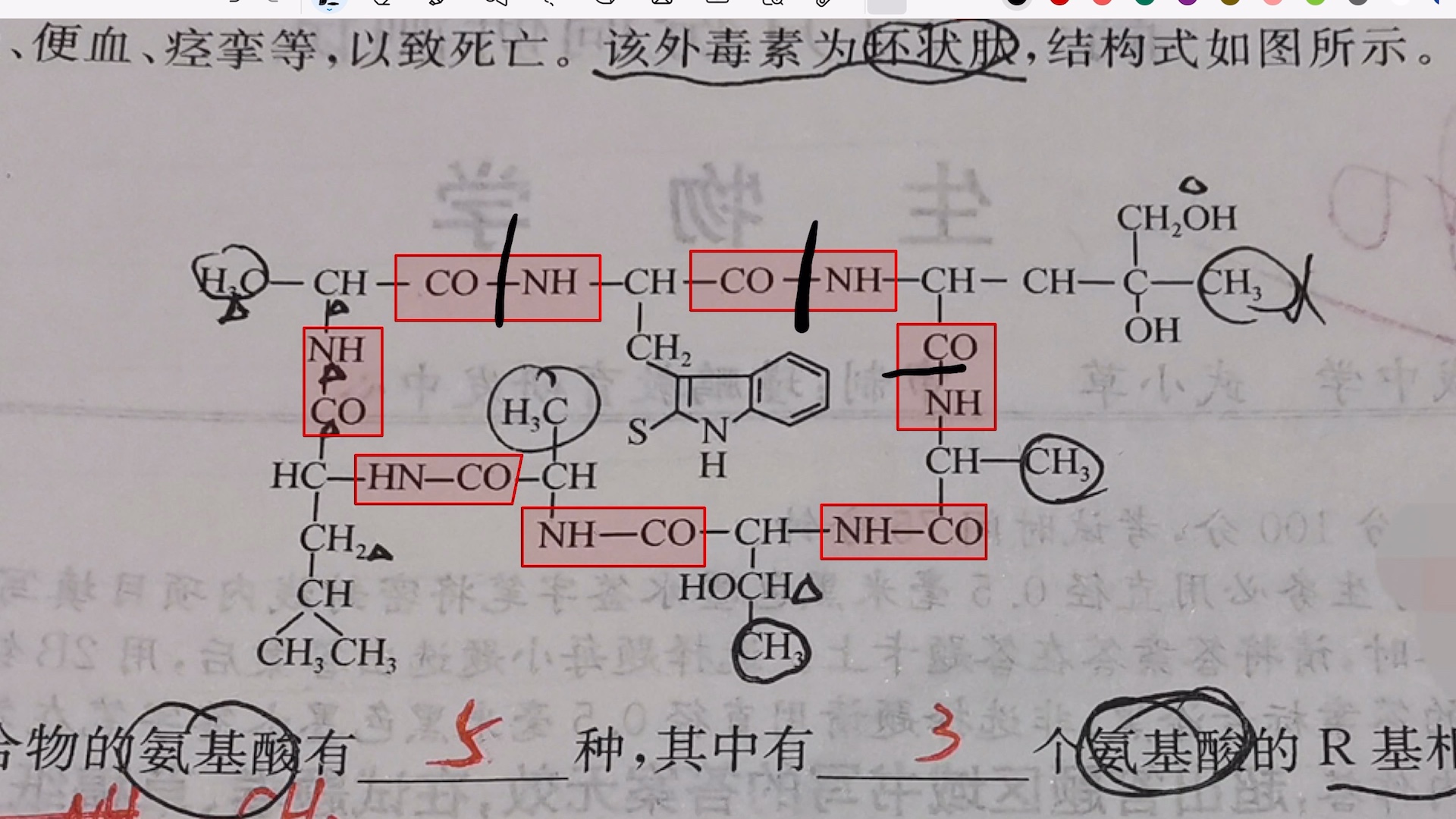 「高一答疑」氨基酸脱水缩合确定R基的方法,环形肽哔哩哔哩bilibili