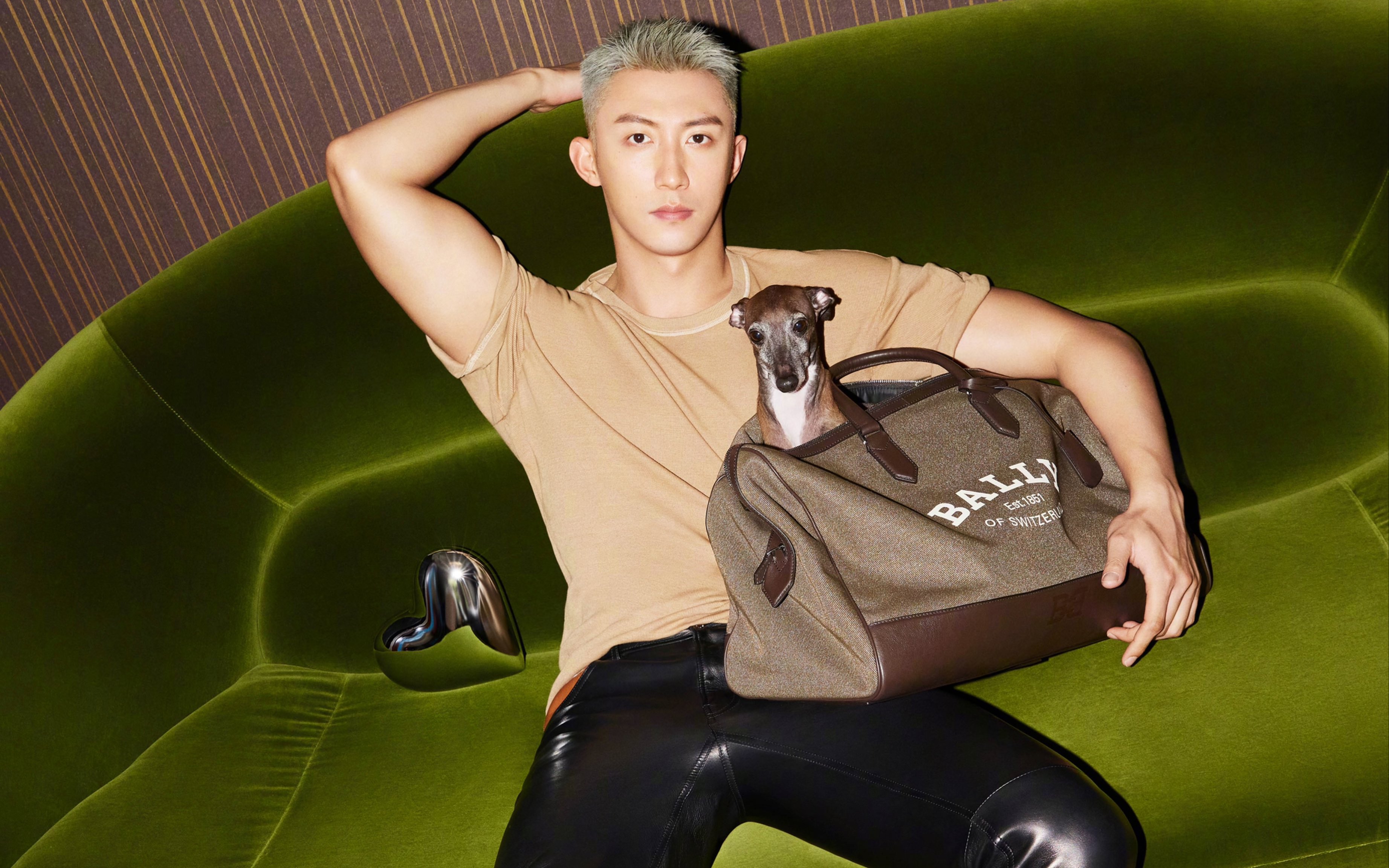 娱乐圈顶级alpha|黄景瑜|禁欲