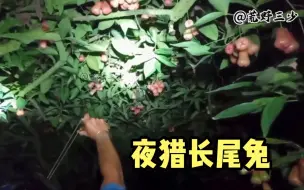 Скачать видео: 越南小伙，夜猎长尾兔，户外烧烤喝两杯