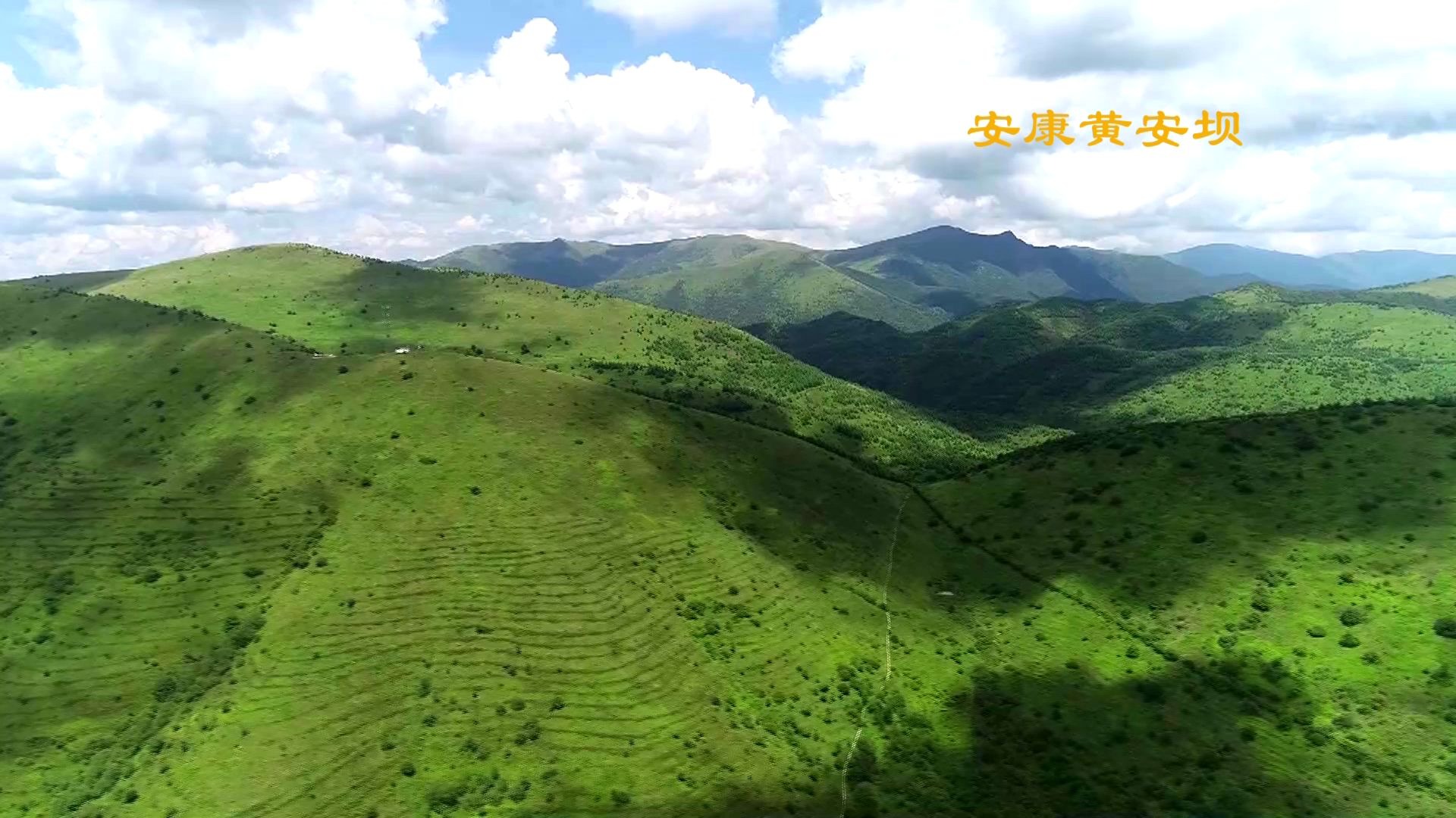 夏日美景 走进大巴山高山草甸哔哩哔哩bilibili