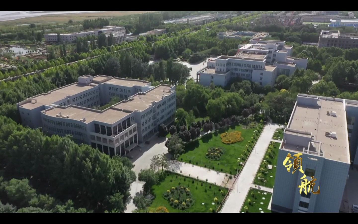 塔里木大学《领航》