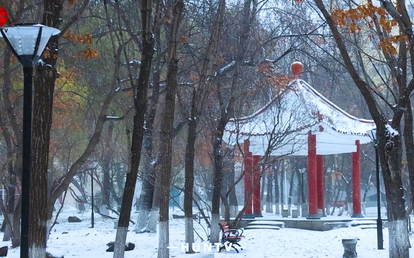 [图]今年的第一场雪 | 冬有冬的来意，雪有雪的秘密