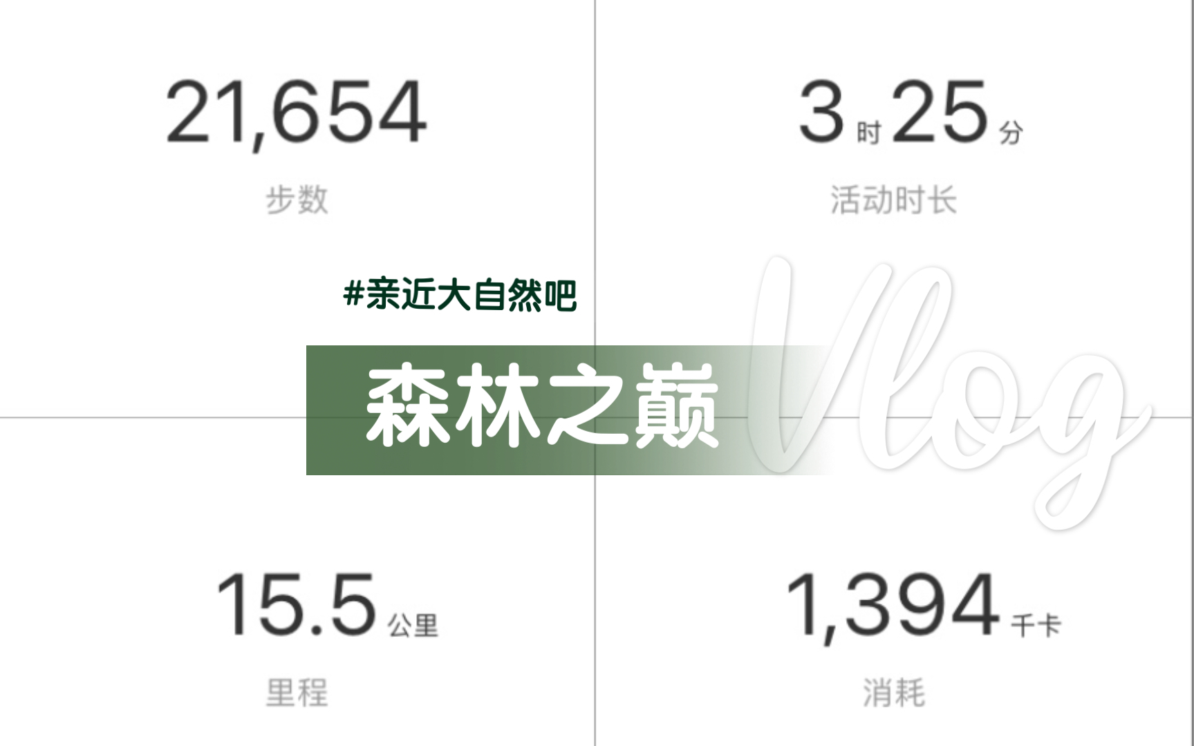 life|三小时跟驴友打卡武汉市内七座山|枫都山猴山南望山喻家山夹山风筝山无名小山杉美术馆 累并快乐多,羡慕退休的叔叔阿姨们哔哩哔哩bilibili