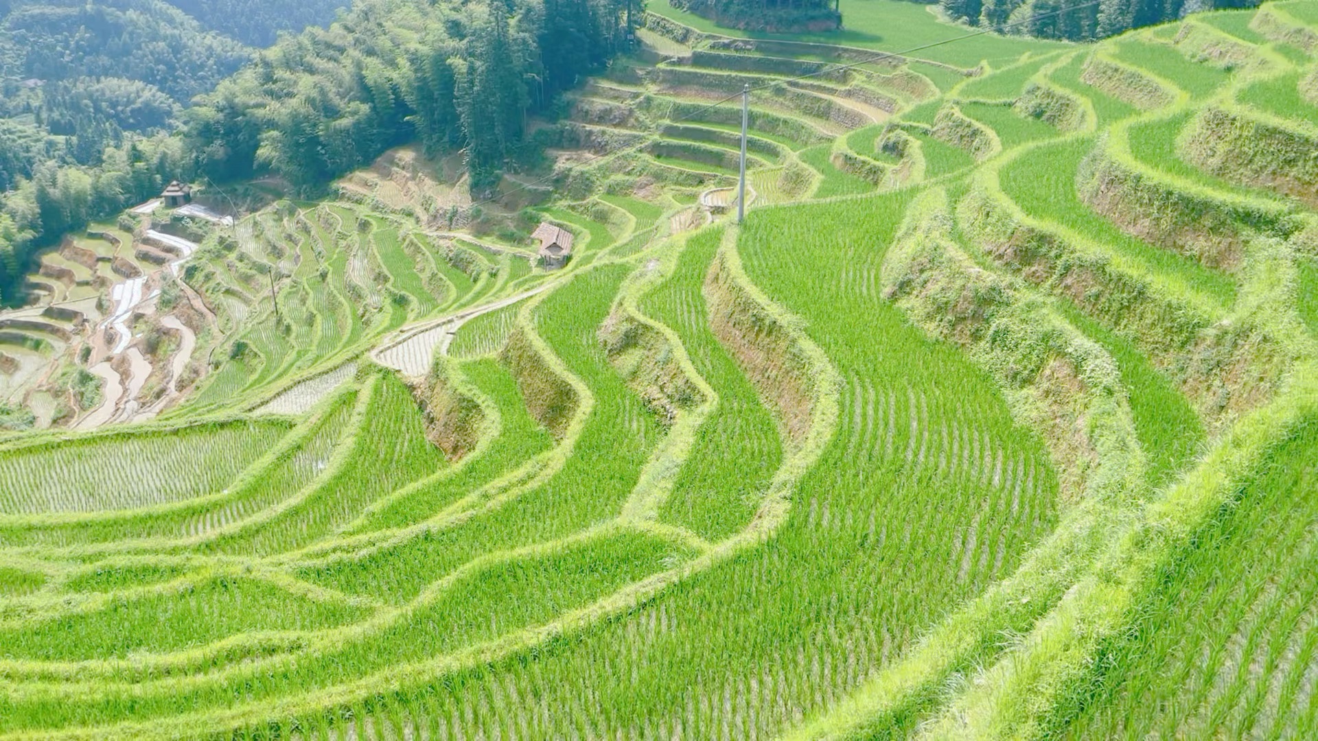 [图]没有去过紫鹊界梯田的旅行都是不完整的！感受真正的民风淳朴、避暑圣地。