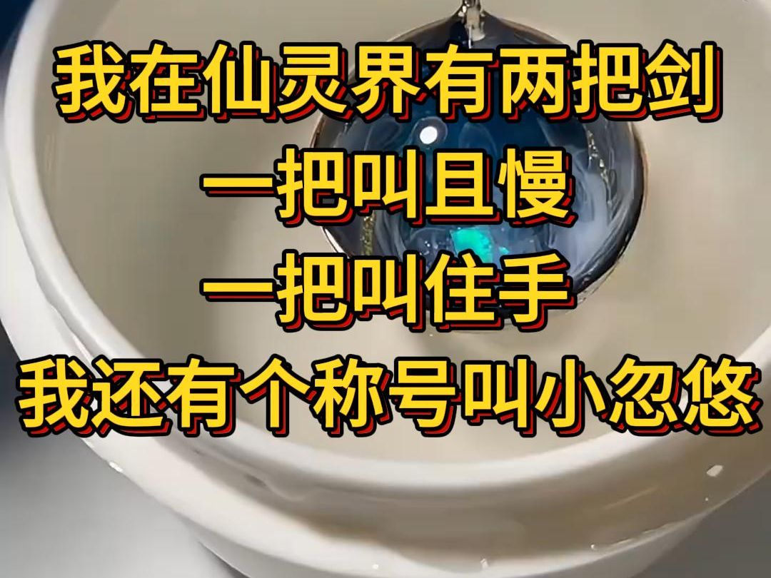 《且慢修仙》我在仙灵界有两把剑 一把叫且慢 一把叫住手 我还有个称号叫小忽悠哔哩哔哩bilibili