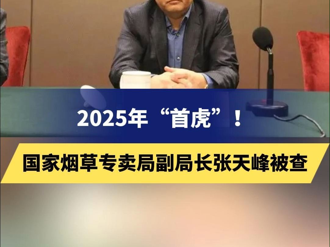 2025年“首虎”!国家烟草专卖局副局长张天峰被查哔哩哔哩bilibili