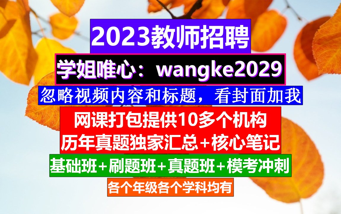 教师招聘文科综合,教师事业编制报考要求,教师编制公告哔哩哔哩bilibili