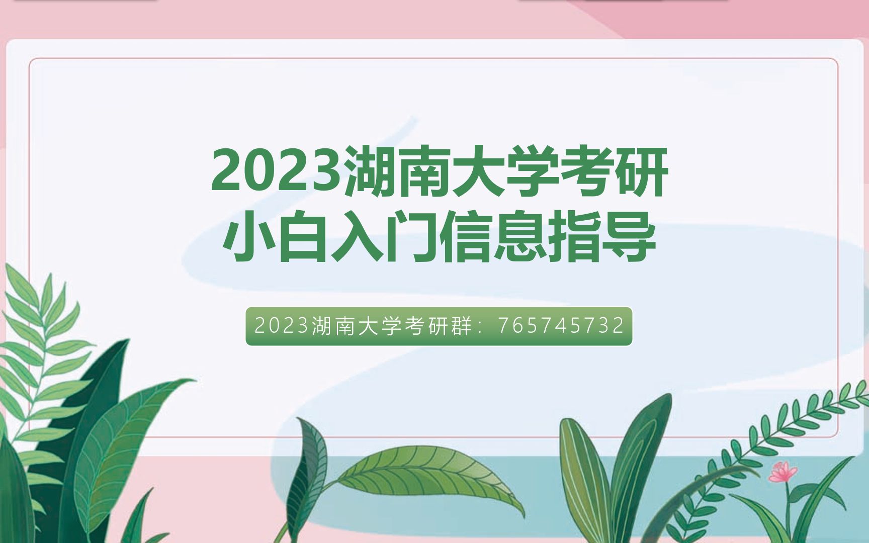 2023湖南大学小白入门信息指导哔哩哔哩bilibili