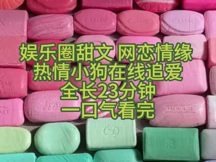 [图]【完结小说 一口气看完】娱乐圈甜文/热情小狗在线追爱 全26分钟