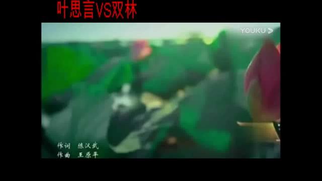 [图]再唱洪湖水（叶思言V S双林）