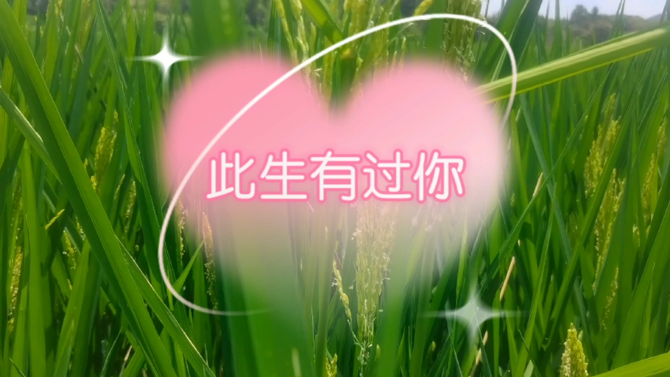 此生有过你_哔哩哔哩_bilibili