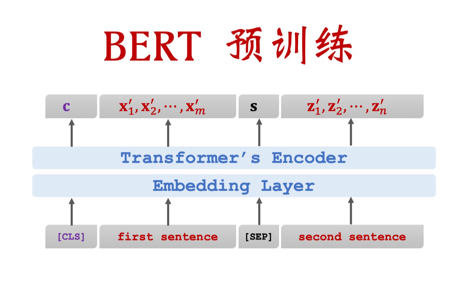 bert预训练transformer模型