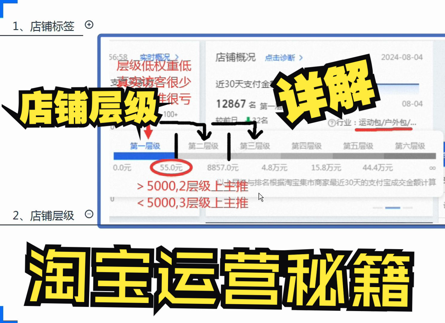 淘宝店铺层级有什么作用 ?快速提升店铺层级的方法!哔哩哔哩bilibili