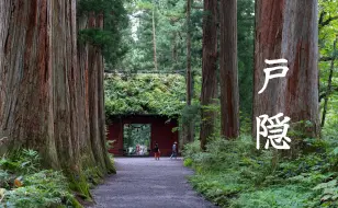 Download Video: 日本长野的深山秘境，户隐神社一日徒步之旅