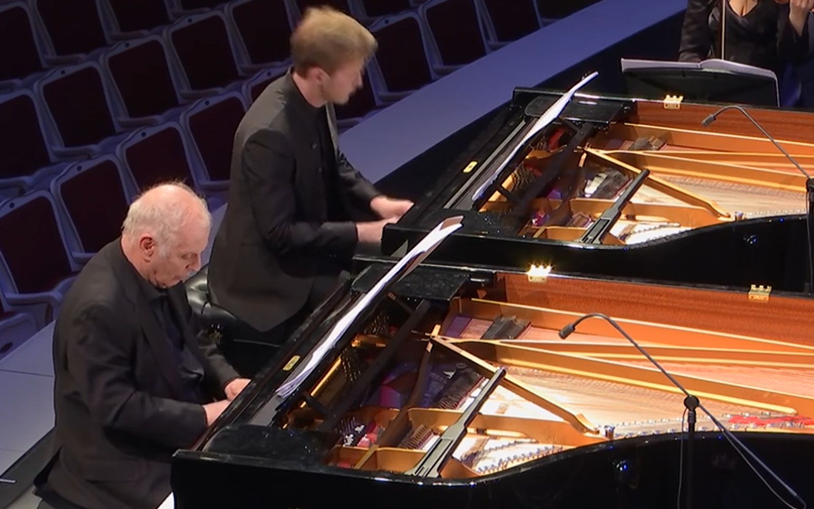 11钢琴家选自圣桑动物狂欢节组曲