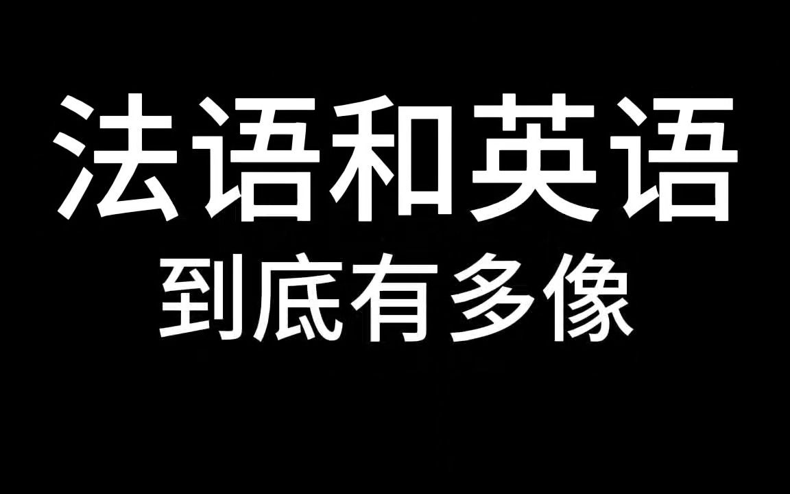 法语和英语到底有多像?哔哩哔哩bilibili