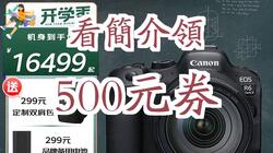 【500元券】佳能（Canon） EOS R6 Mark II r6二代全画幅高端微单照相机视频直播高清相机 R6二代 (RF 24-105mm