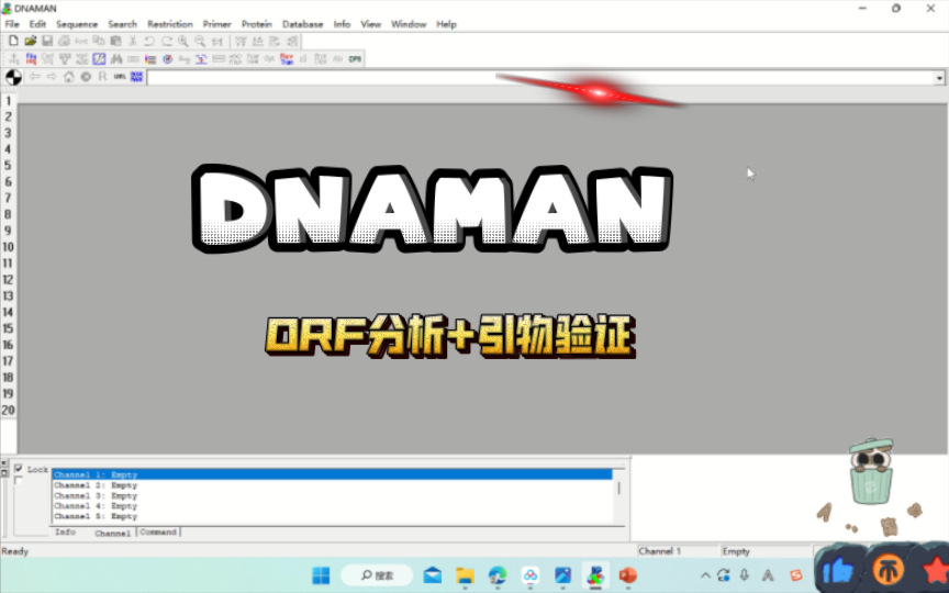 DNAMAN 隐藏技能 ORF分析 引物验证哔哩哔哩bilibili