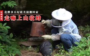 Descargar video: 走嘛跟我上山收蜂去，诱蜂桶脾多易坠怎么办？直接抱回家